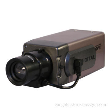Indoor Dummy Camera
